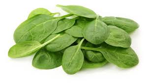 L SPINACH BULK   '977