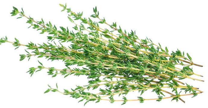 LOCAL HERBS THYME RHF  '616983842935