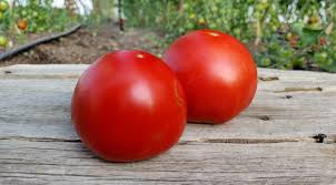 LOCAL TOMATOES SLICER  '2212