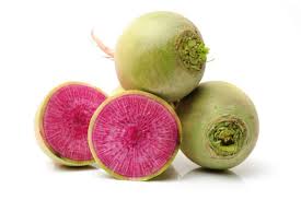 Organic RADISH WATERMELON '201