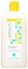 SHAMPOO ANDALOU  SUNFLOWER CI   11.5 FZ  '859975002027