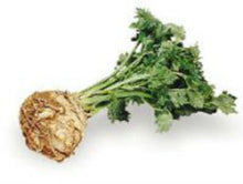 LOCAL CELERIAC CELERY ROOT  '755