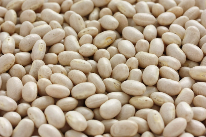 BULK BEANS NAVY ORGANIC PER/LBS  '917