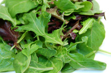 LOCAL SALAD MIX ARUGULA MIX  EA  '610563150984