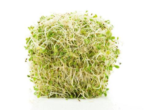 LOCAL SPROUTS ALFALFA 5OZ RIVER VALLEY    '807906000222